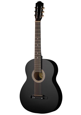 Акустическая гитара Т.И.М 2K-BK 1109