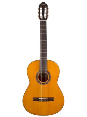 Классическая гитара Valencia VC204 0157