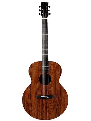 Акустическая гитара Enya EA-X1+ - фото 7381