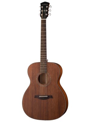 Акустическая гитара Parkwood S22M-NS - фото 7393