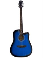 Акустическая гитара Elitaro E4110C BLS 0031