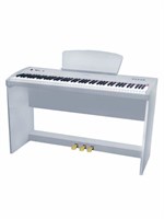 Цифровое пианино Sai Piano P-9WH 0418