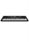 Синтезатор Roland E-X10 1113