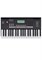 Синтезатор Roland E-X10 1113