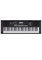 Синтезатор Roland E-X10 1113