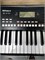 Синтезатор Roland E-X10 1113