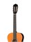 Классическая гитара Fante FT-C-B39-Yellow 0569