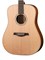Акустическая гитара Parkwood S21-GT 0232