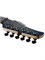 Электрогитара Schecter REAPER-6 Гитара Satin Sky Burst 1093