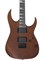 Электрогитара IBANEZ GRG121DX-WNF 0289