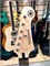 Электрогитара Yamaha Pacifica 012BL 0374