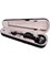 Электроскрипка Foix HBK/HBK-01 1042