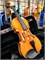 Скрипка Mirra VB-290-4/4 в футляре со смычком 0641