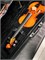 Скрипка Mirra VB-290-1/2 в футляре со смычком 0592