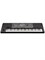 Рабочая станция KORG Pa600 0712
