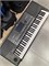 Рабочая станция KORG Pa600 0712