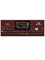Рабочая станция KORG Pa700 0713