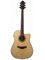 Электро-акустическая гитара CRAFTER HD-250CE - фото 7448