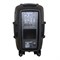 Акустическая система активная, MP3 USB BT 100Вт, Leem SPA-12 0882 - фото 8404 Акустическая система активная, MP3 USB BT 100Вт, Leem SPA-12 0882 - фото 8404