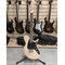 Электрогитара ARIA PRO II J-2 SVW 0896 - фото 8547 Электрогитара ARIA PRO II J-2 SVW 0896 - фото 8547