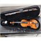 Скрипка Mirra VB-290-1/2 в футляре со смычком 0592