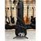 Бас-гитара Schecter SGR C-4 BASS Walnut Satin 0926
