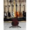 Бас-гитара Schecter SGR C-4 BASS Walnut Satin 0926