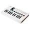 MIDI-клавиатура ARTURIA MiniLAB 3 1019