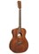 Акустическая гитара Cort L60M-OP Luce Series 0231