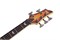 Бас-гитара Schecter Omen Extreme-5 Vintage Sunburst 1060